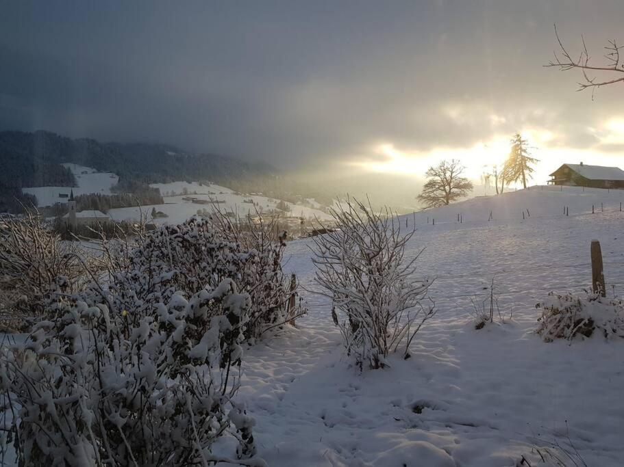 Urlaub In Alberschwende Lägenhet Exteriör bild